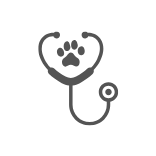 Médico Veterinário